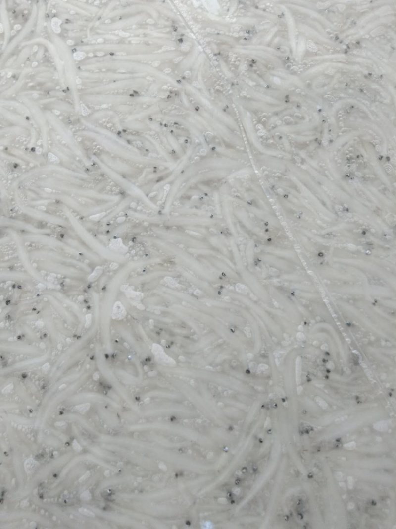 澜沧江库区速冻银鱼，银鱼干