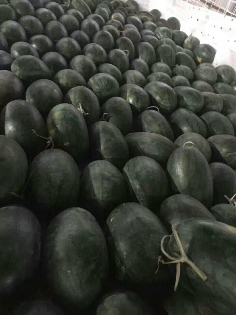 推荐热销黑美人西瓜，精品市场大瓜，电商团购小瓜大量出货