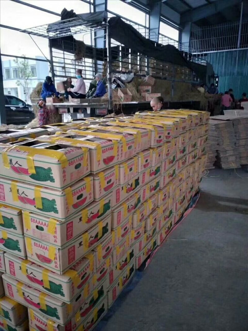 推荐热销黑美人西瓜，精品市场大瓜，电商团购小瓜大量出货