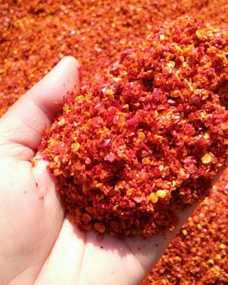 三樱椒辣椒粗片，中粗