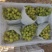 元谋叁叶果蔬种植专业合作社是一家专业从事葡萄育苗收购！
