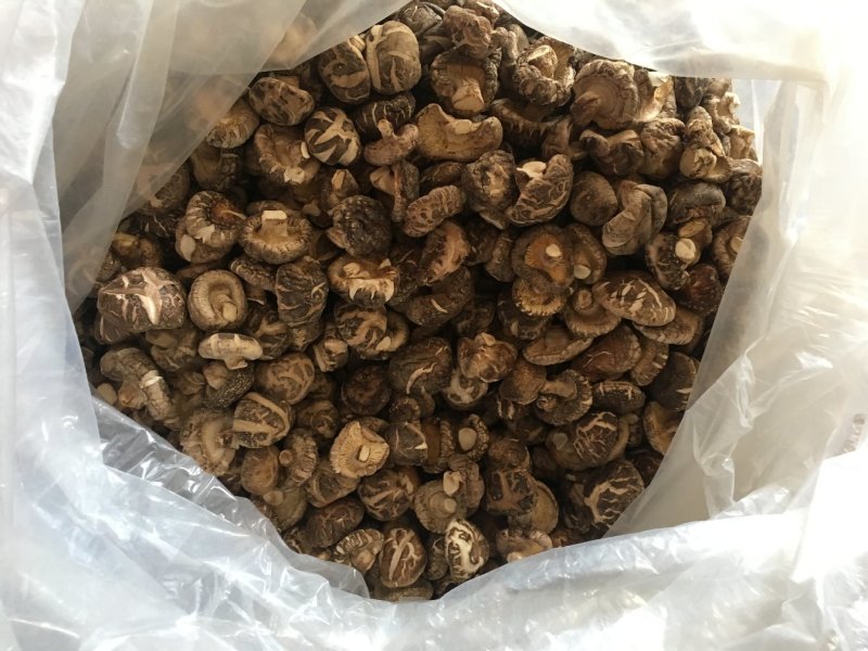 茶花菇光面干香菇以质论价冬菇肉厚自产自销