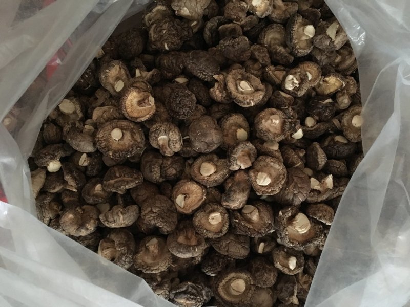 茶花菇光面干香菇以质论价冬菇肉厚自产自销