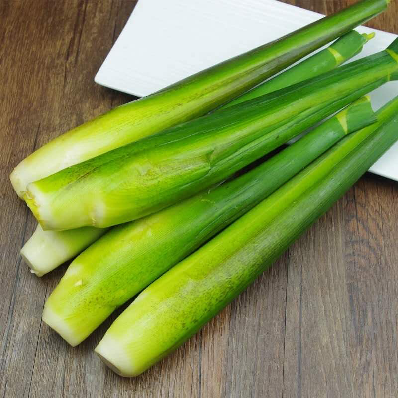 茭白苗单季茭白苗双季茭白苗四季茭白苗