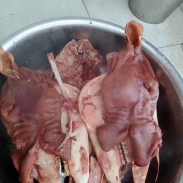 熟马头，带耳带舌，鲜马头煮制，味道好，支持线上交易