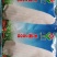 万糯2000糯玉米种子，经典品种，基地专用，稳产，产量高