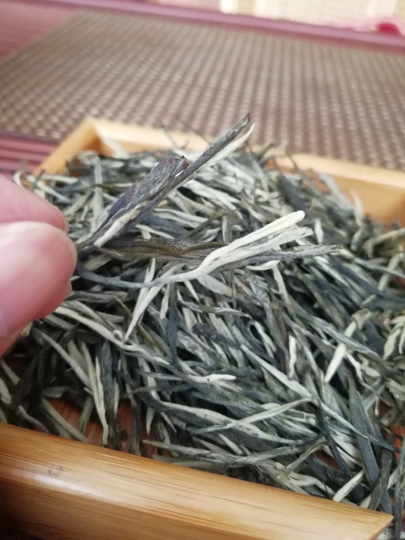 云南早春绿茶，春茶，松针大货批发，香针，入口香甜