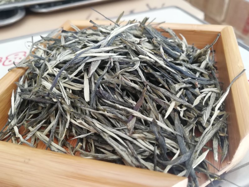 云南早春绿茶，春茶，松针大货批发，香针，入口香甜