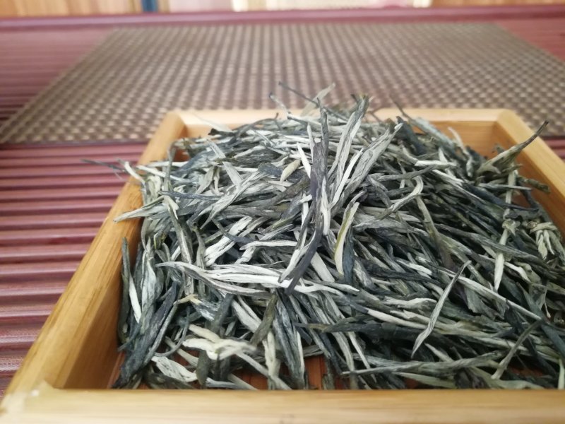 云南早春绿茶，春茶，松针大货批发，香针，入口香甜