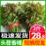 香椿芽2二斤装招电商一件代发