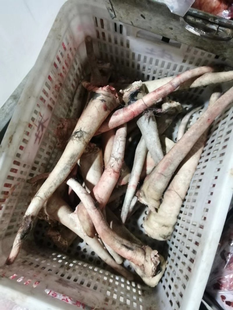 水褪毛驴尾，养殖基地，一手货源