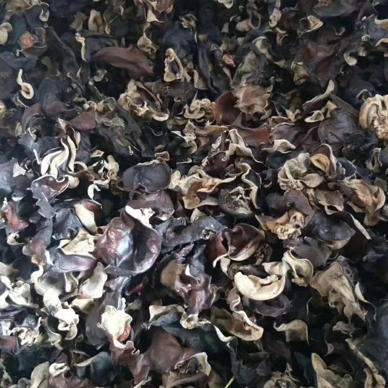 干货木耳火锅炒菜爽脆干木耳跑江湖地摊产品