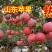 纸袋膜袋红富士苹果产地价格便宜，产地直销，品质保证全国发