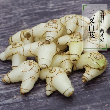 白芨【长期供应】三叉白芨选货鲜货量大从优假一罚十。