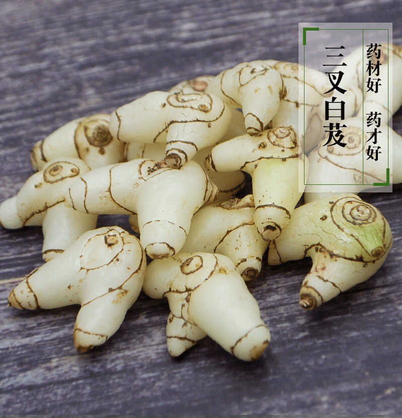 白芨【长期供应】三叉白芨选货鲜货量大从优假一罚十。