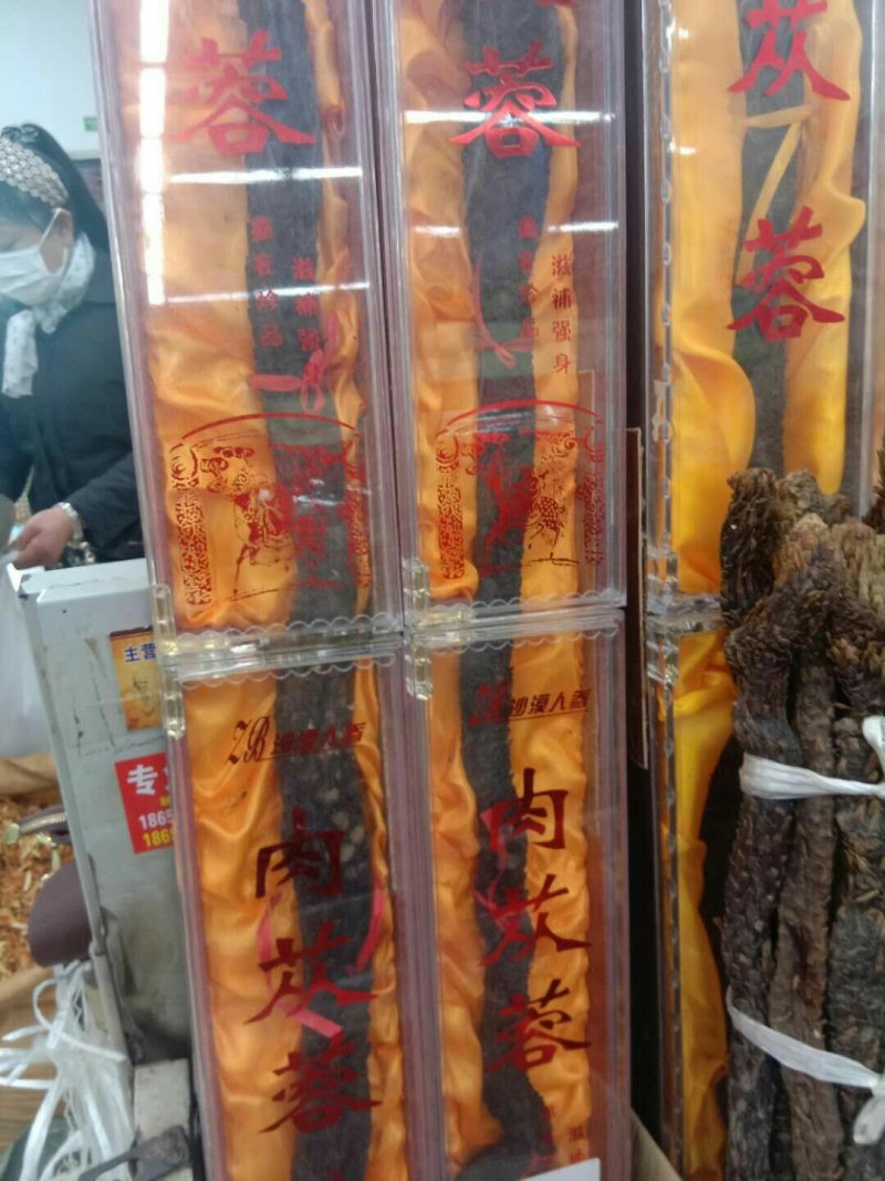 肉苁蓉，常年批发供应药食同源，肉苁蓉，大云，软质，硬质货