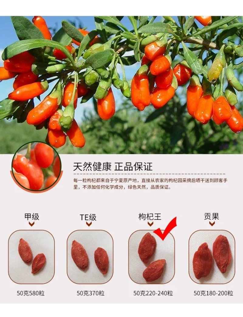 2020新货枸杞宁夏中宁特级头茬红枸杞包邮无硫无添加