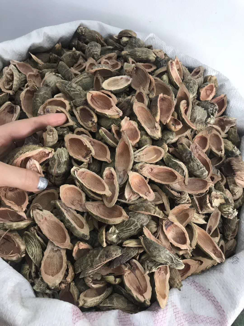 大腹皮【包邮】三斤起发货可批量可零售量大从优