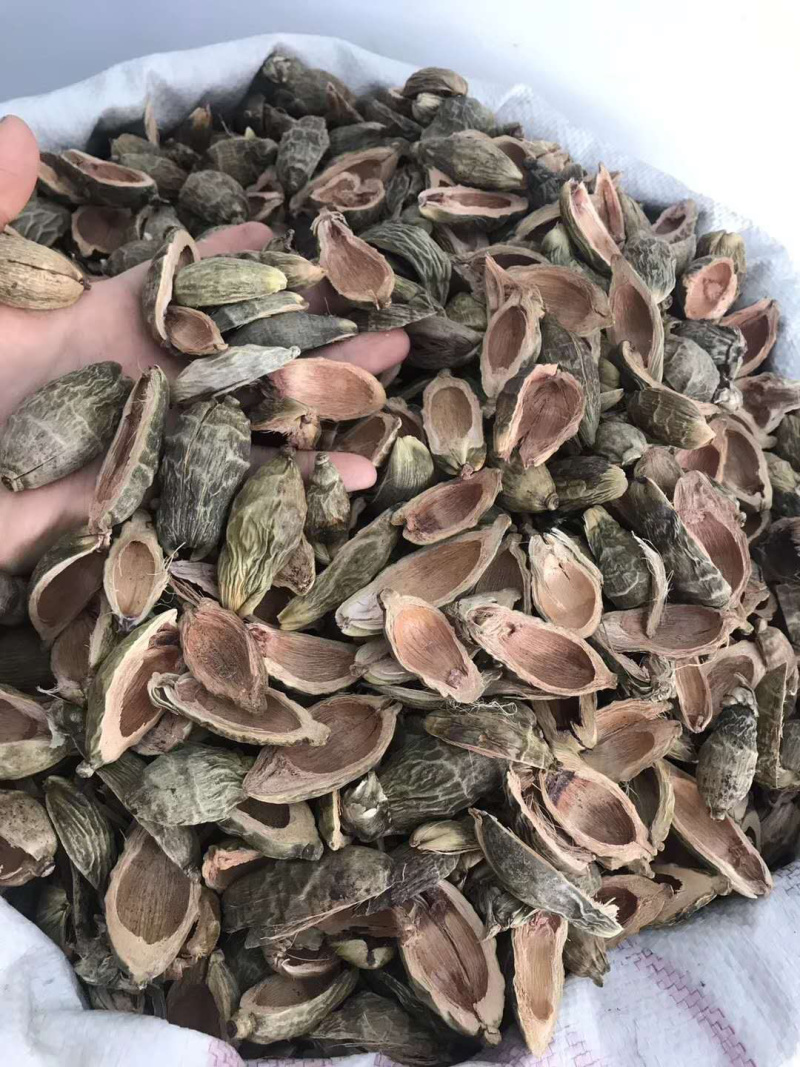 大腹皮【包邮】三斤起发货可批量可零售量大从优