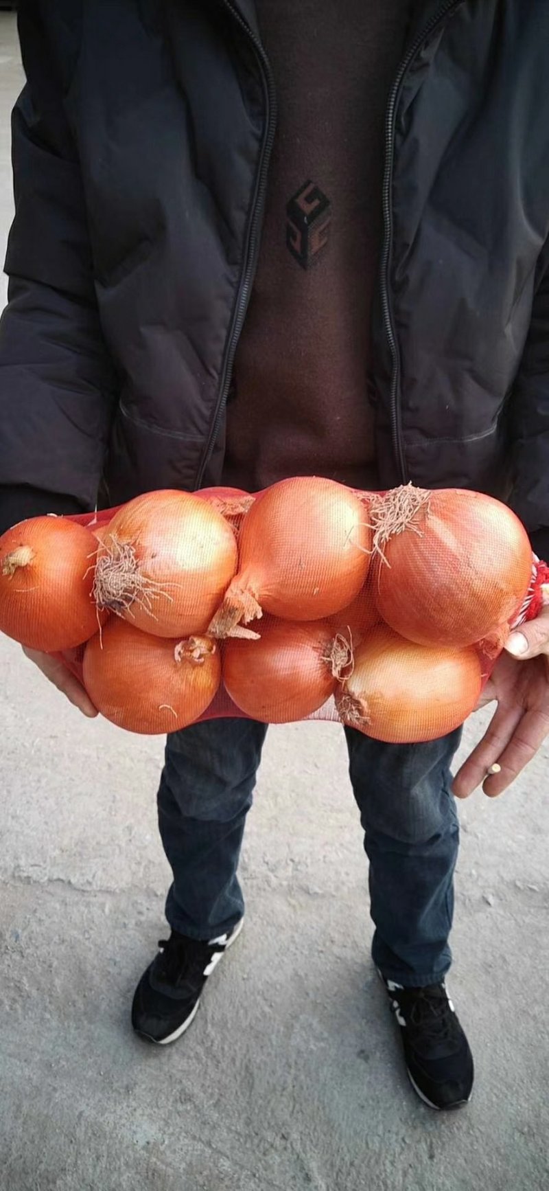 【洋葱】金乡精品黄洋葱个头圆润品质优欢迎选购