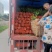 茉莉花精品基地直供，货源充足诚信经营，动起来。