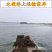 海蛎子肉牡蛎肉生蚝肉汫洲蚝肉福建蚝肉南澳蚝肉