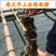 海蛎子肉牡蛎肉生蚝肉汫洲蚝肉福建蚝肉南澳蚝肉