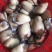 海蛎子肉牡蛎肉生蚝肉汫洲蚝肉福建蚝肉南澳蚝肉