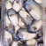 海蛎子肉牡蛎肉生蚝肉汫洲蚝肉福建蚝肉南澳蚝肉