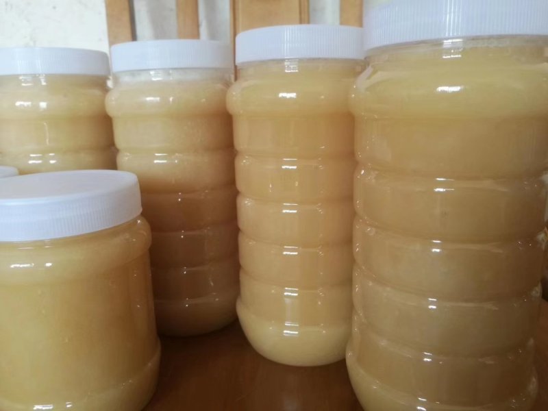【纯正好货】大山中天然土蜂蜜500g批发电商微商一件代发