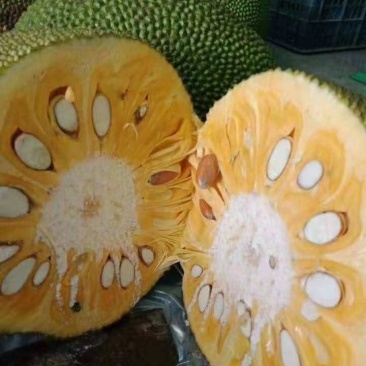 菠萝蜜