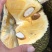 菠萝蜜