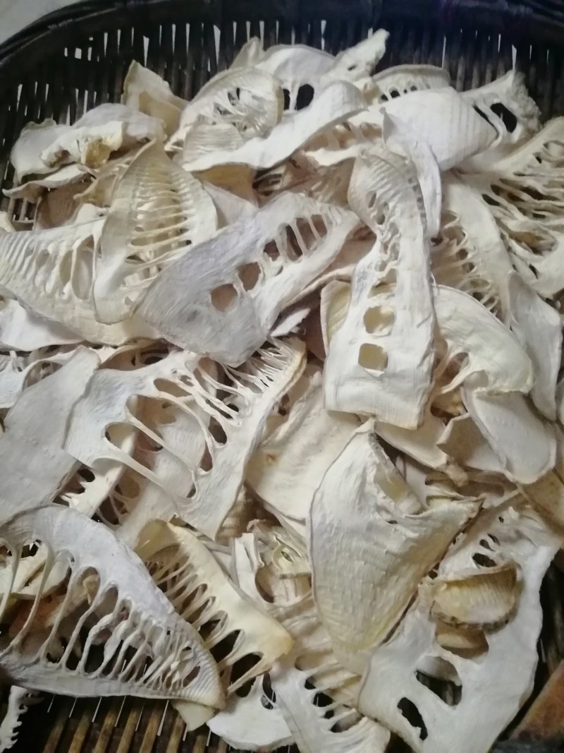 春笋小规格生片直接烘干笋干
