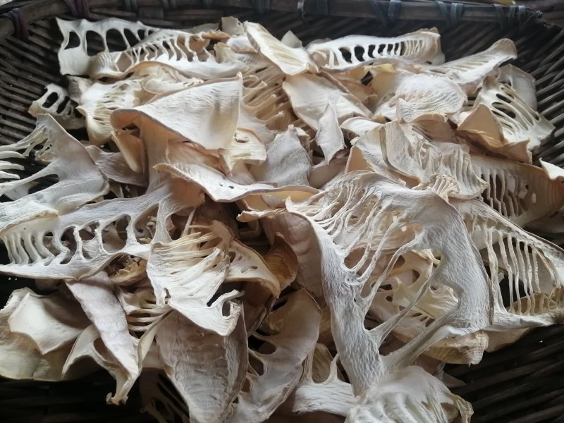 春笋小规格生片直接烘干笋干