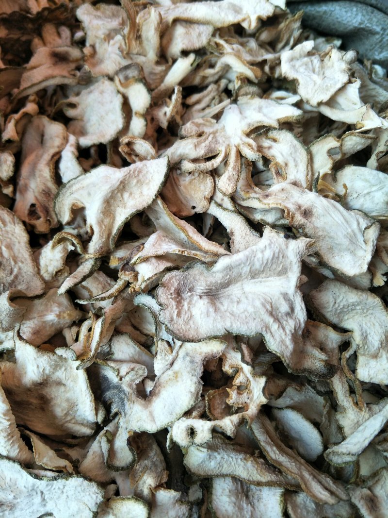 广佛手，常年批发供应佛手，广佛手
