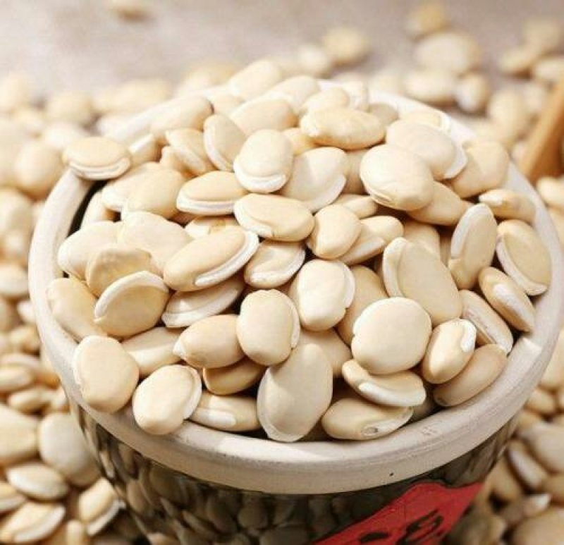 白扁豆，常年批发供应药食两用白扁豆