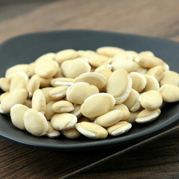 白扁豆，常年批发供应药食两用白扁豆