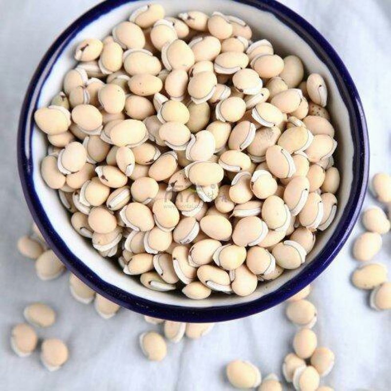 白扁豆，常年批发供应药食两用白扁豆