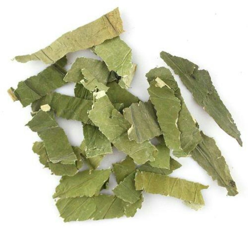 荷叶，常年批发供应药食，两用中药材