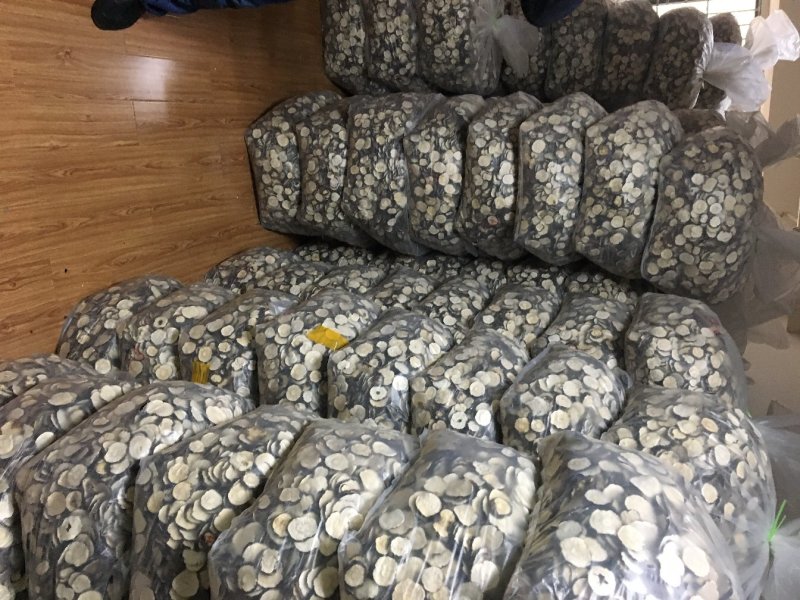 云南黑玛咖片产品品控人工手切自然晒干高海拔特惠中五斤包邮