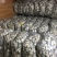 云南黑玛咖片产品品控人工手切自然晒干高海拔特惠中五斤包邮
