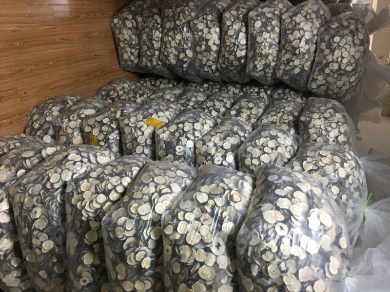 云南黑玛咖片产品品控人工手切自然晒干高海拔特惠中五斤包邮