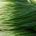 香葱小葱40~45cm商超联系各大类型商超