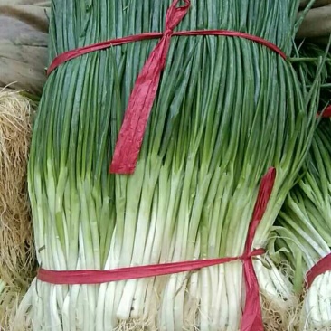 小葱