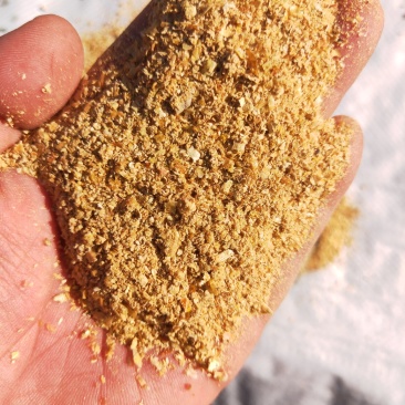 玉米胚芽粕玉米胚芽粕饲料玉米胚芽饼畜牧家禽育肥用