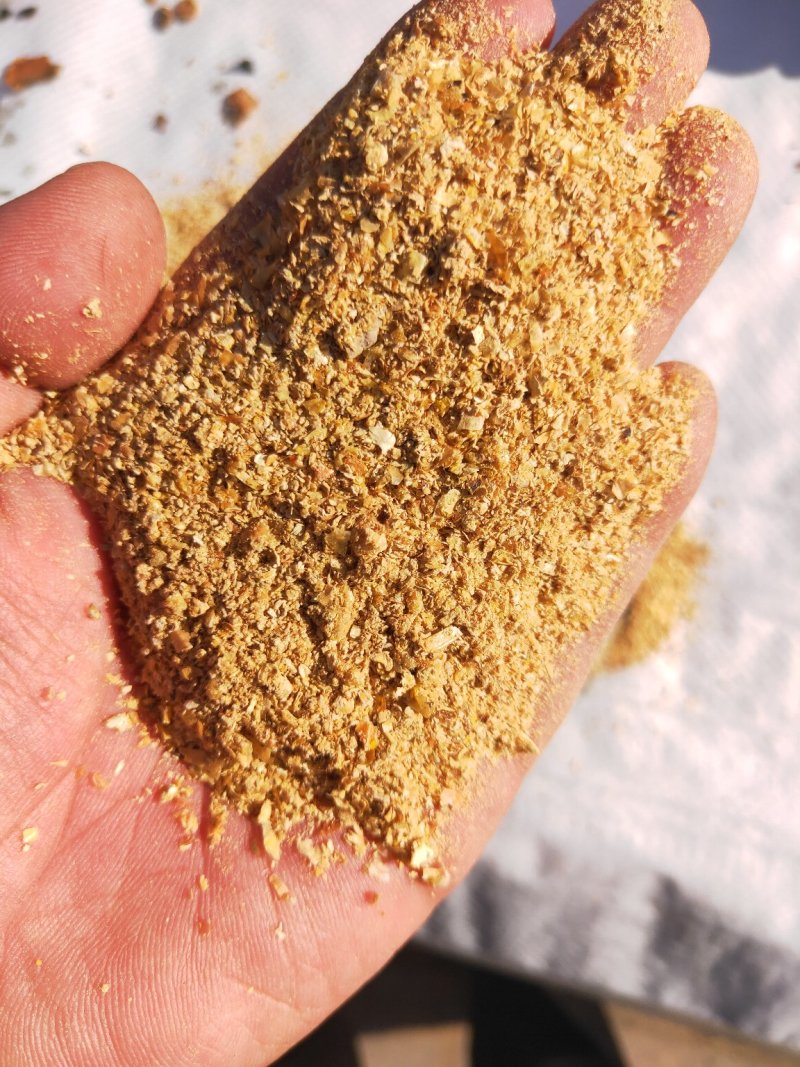 玉米胚芽粕玉米胚芽粕饲料玉米胚芽饼畜牧家禽育肥用