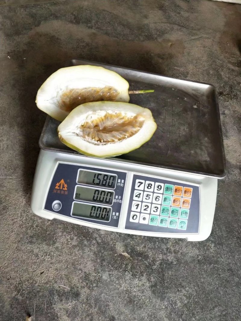 香蜜木瓜百香果苗木瓜百香果苗正品发货包邮
