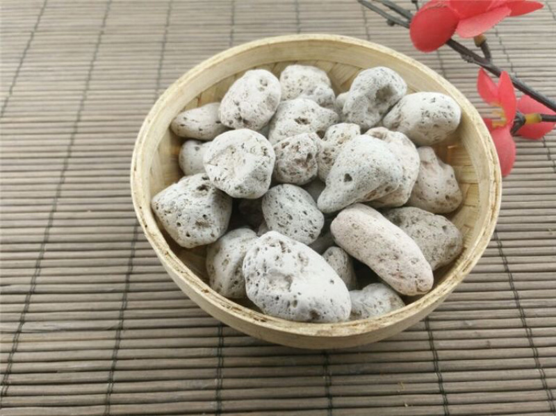 海浮石头单两斤以上包邮海浮石块水泡石浮海石