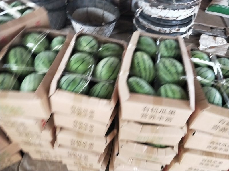 嘉秀6号万亩基地直供