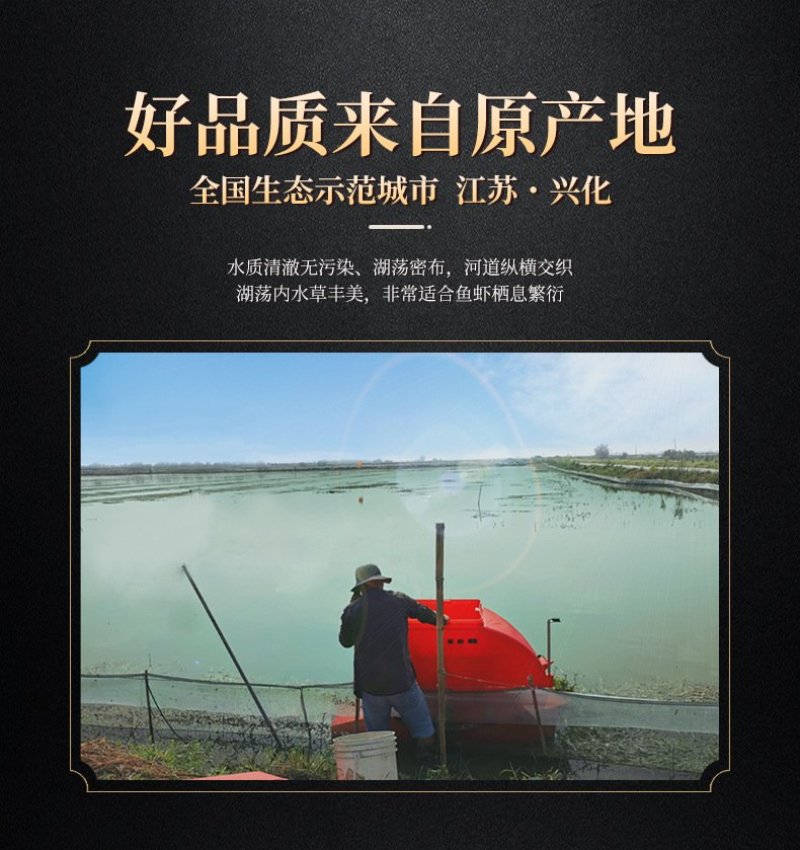 麻辣小龙虾1000g十三香龙虾熟食蒜蓉龙虾4-6钱包邮